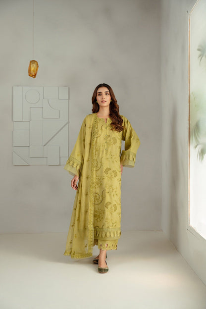 Taana Baana | Manzil Winter |  C3416A - House Of Anaya
