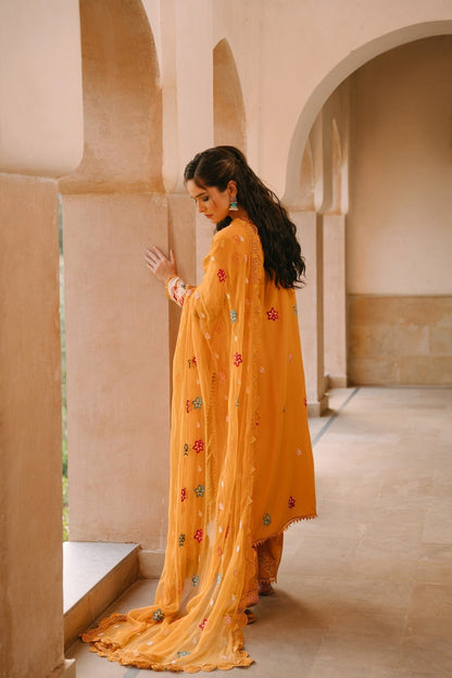 Taana Baana | Manzil Winter |  C3408A - House Of Anaya