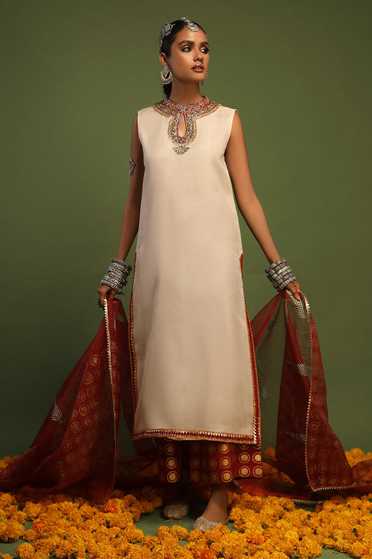 Wardha Saleem | Luxury Pret Traditional Wear | NAQSH - SHIRT WITH IZAAR (2 PC) - House Of Anaya