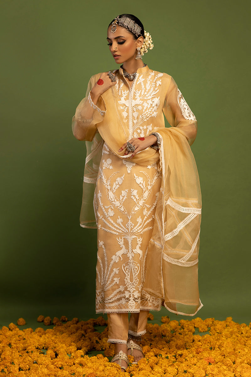 Wardha Saleem | Luxury Pret Traditional Wear | SHIKAR GAH - AARI WORK (2 PC) - House Of Anaya