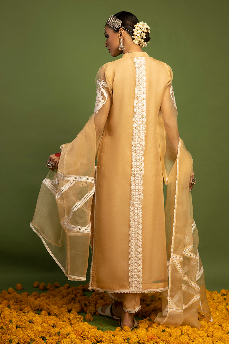 Wardha Saleem | Luxury Pret Traditional Wear | SHIKAR GAH - AARI WORK (2 PC) - House Of Anaya