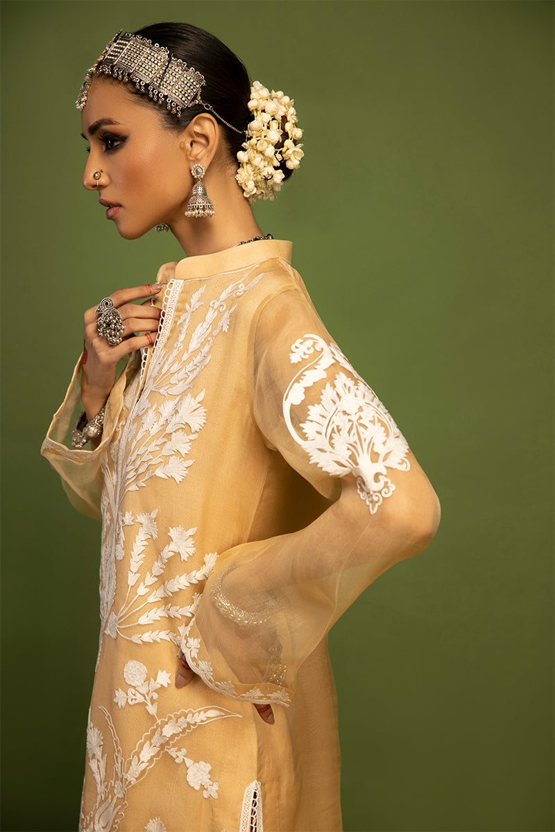Wardha Saleem | Luxury Pret Traditional Wear | SHIKAR GAH - AARI WORK (2 PC) - House Of Anaya