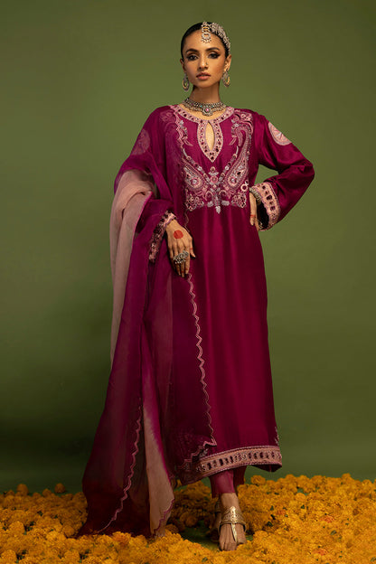 Wardha Saleem | Luxury Pret Traditional Wear | SAANJH - PURE SILK (2 PC) - House Of Anaya