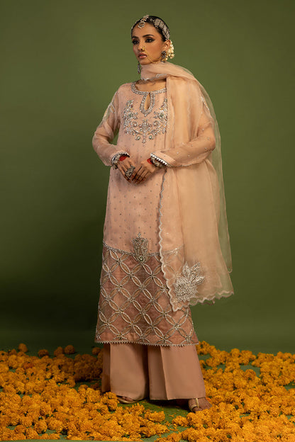 Wardha Saleem | Luxury Pret Traditional Wear | MISMAAR - HEAVY FORMAL (2 PC) - House Of Anaya