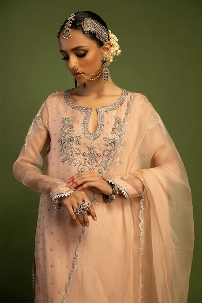 Wardha Saleem | Luxury Pret Traditional Wear | MISMAAR - HEAVY FORMAL (2 PC) - House Of Anaya