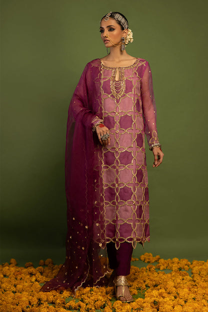 Wardha Saleem | Luxury Pret Traditional Wear | SARAAB - PLUM HEAVY (2 PC) - House Of Anaya