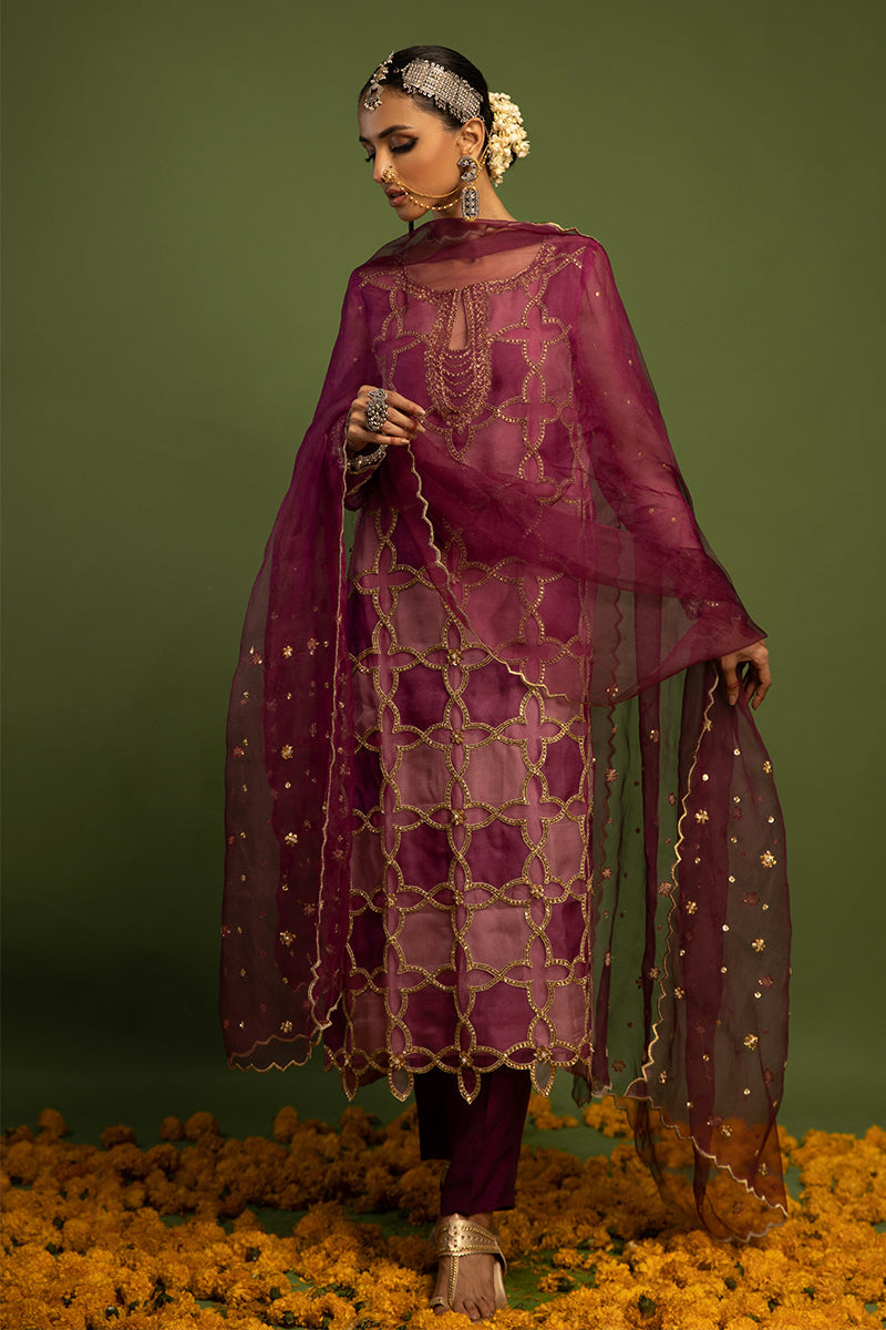 Wardha Saleem | Luxury Pret Traditional Wear | SARAAB - PLUM HEAVY (2 PC) - House Of Anaya