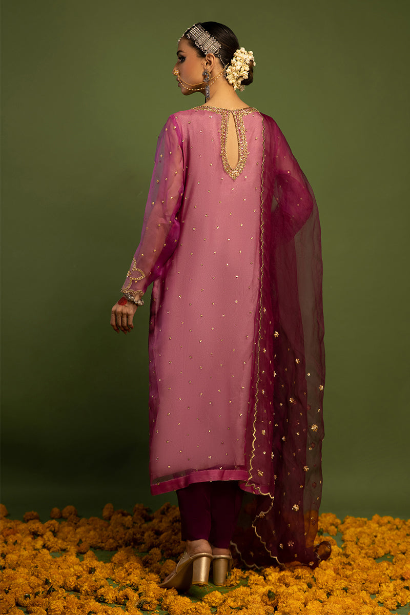 Wardha Saleem | Luxury Pret Traditional Wear | SARAAB - PLUM HEAVY (2 PC) - House Of Anaya