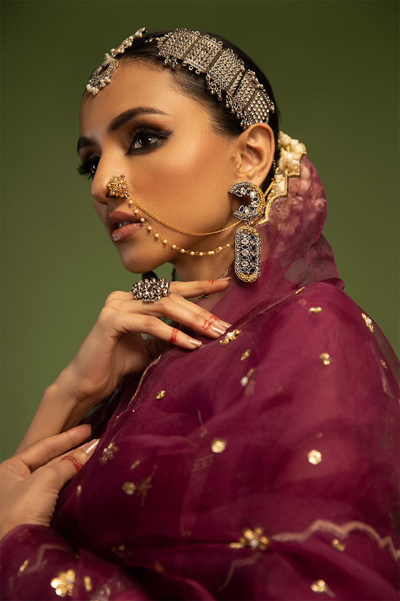 Wardha Saleem | Luxury Pret Traditional Wear | SARAAB - PLUM HEAVY (2 PC) - House Of Anaya
