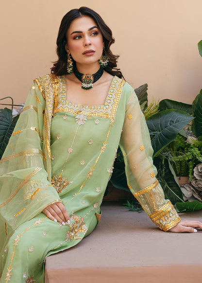 Daud Abbas | Formals Collection | Sunahri - House Of Anaya
