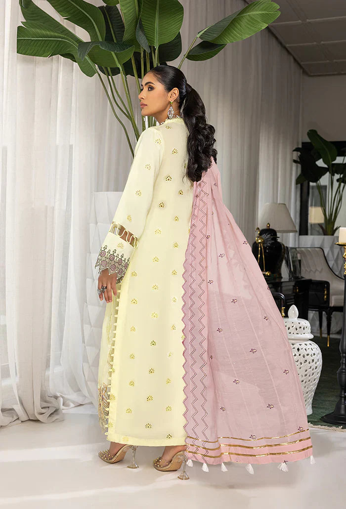 Humdum | Charlotte Chikankari Lawn | D06 - House Of Anaya