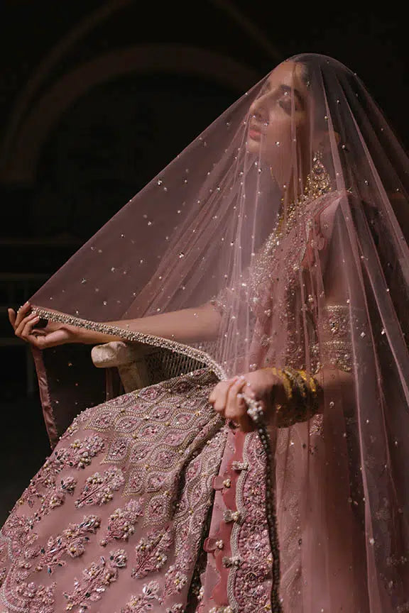 Elan | Wedding Festive 23 | Aysel - House Of Anaya