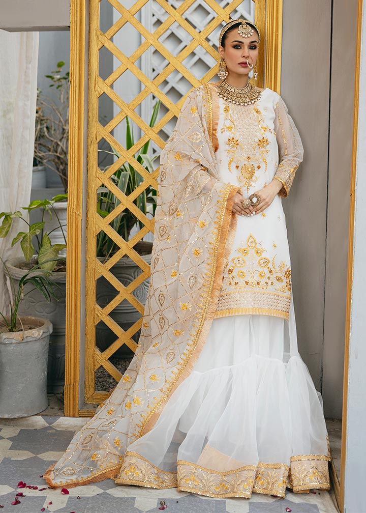Daud Abbas | Formals Collection | Tamana - House Of Anaya