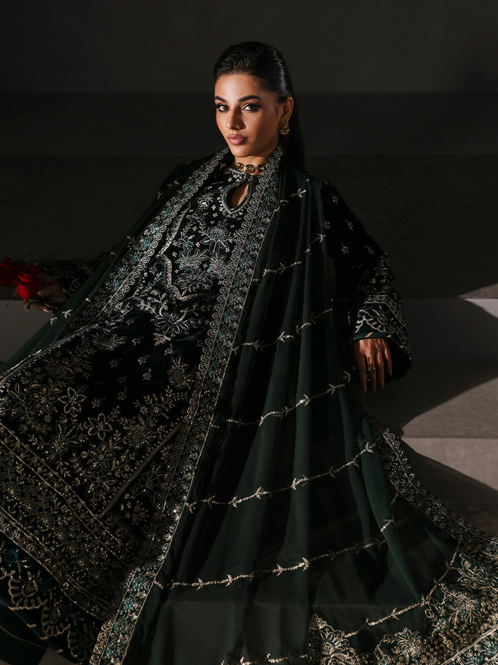 Gulaal | Marais Velvet | EVANA