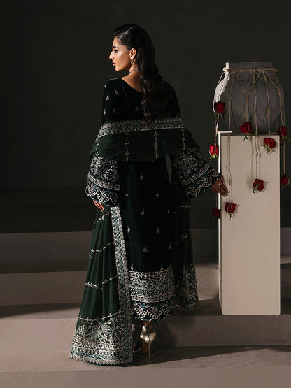 Gulaal | Marais Velvet | EVANA