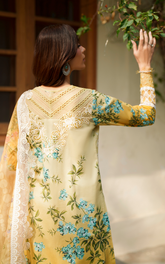 Asifa and Nabeel | Versa Luxury Lawn 26 | Sovereign Lace VUL26-02