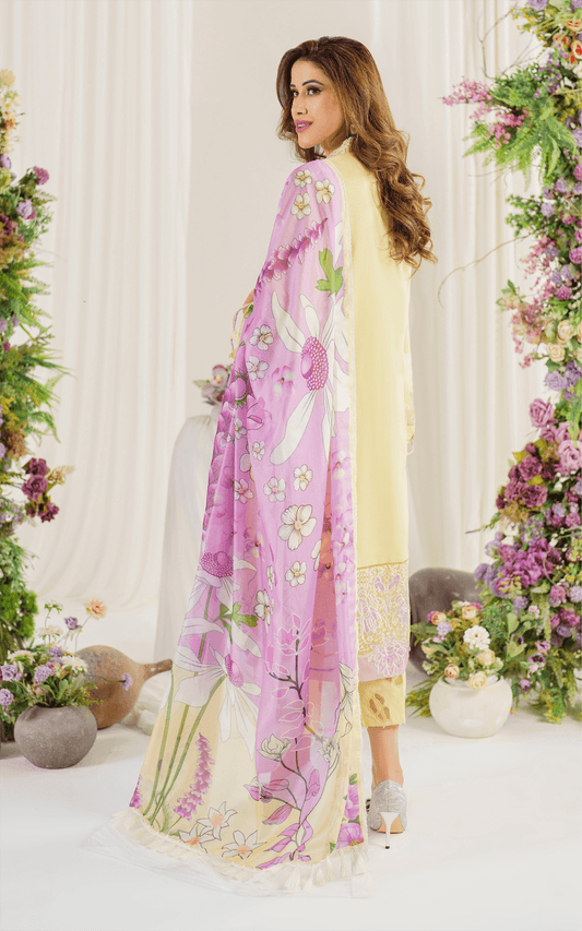 Asifa and Nabeel | Pretty in Pink Limited Edition | Versaila (PP-10) - House Of Anaya