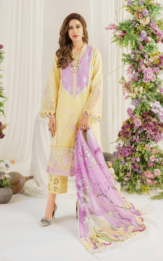 Asifa and Nabeel | Pretty in Pink Limited Edition | Versaila (PP-10) - House Of Anaya