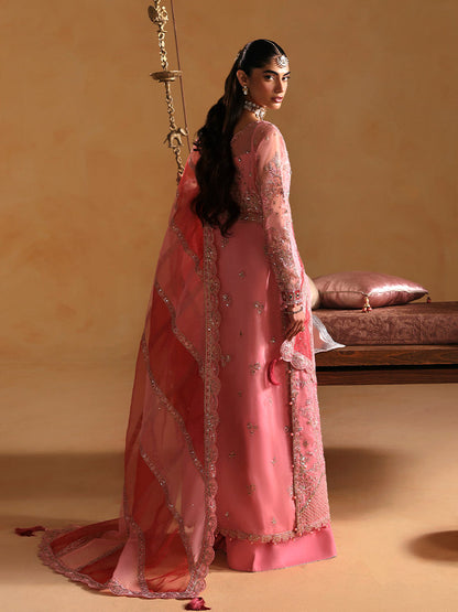 Gulaal | Wedding 25 | Areeman