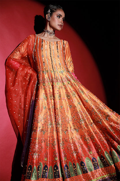 Wardha Saleem | Meeram Festive Formals | Mehraab - House Of Anaya