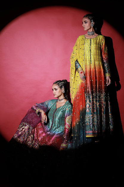 Wardha Saleem | Meeram Festive Formals | Satrangi - House Of Anaya