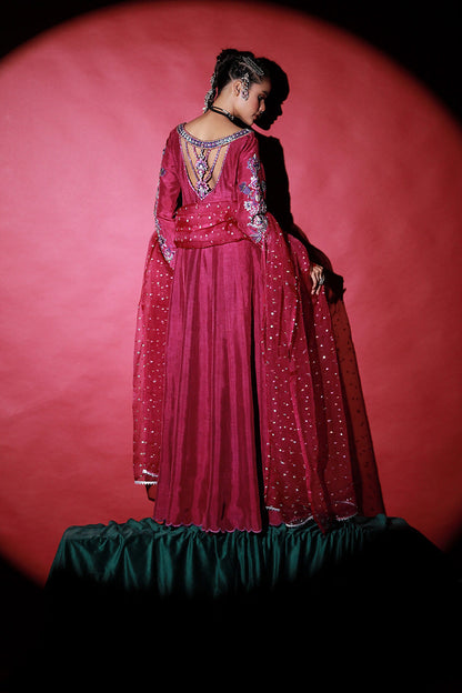 Wardha Saleem | Meeram Festive Formals | Jamuni - House Of Anaya