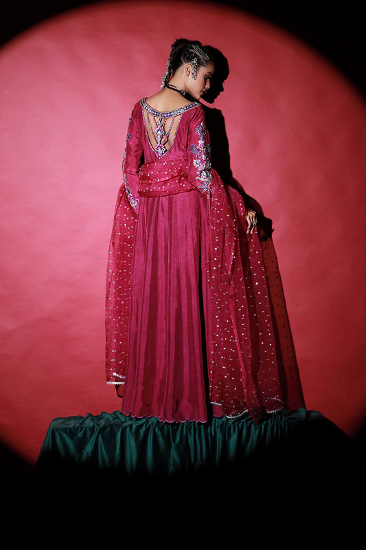 Wardha Saleem | Meeram Festive Formals | Jamuni - House Of Anaya