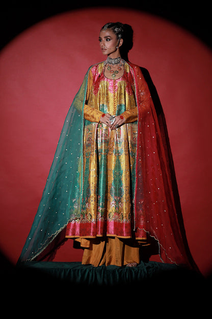 Wardha Saleem | Meeram Festive Formals | Bahaar Rang - House Of Anaya