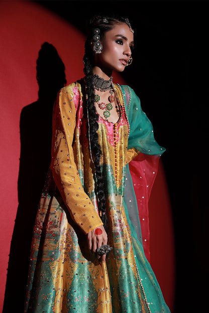 Wardha Saleem | Meeram Festive Formals | Bahaar Rang - House Of Anaya