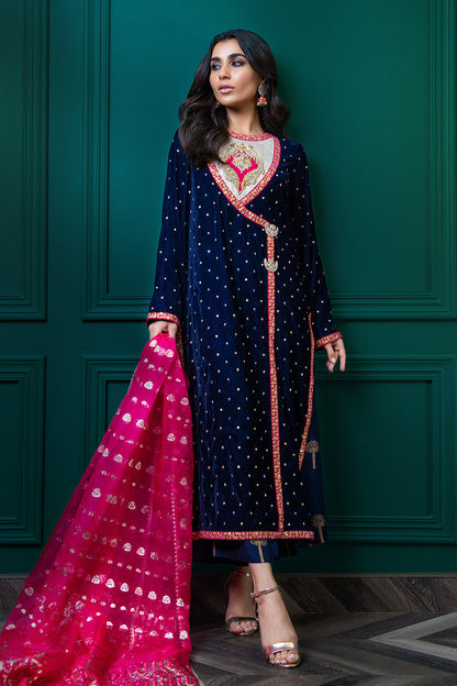 Wardha Saleem | Velvets Winter Fall 24 |  Shalimar - House Of Anaya