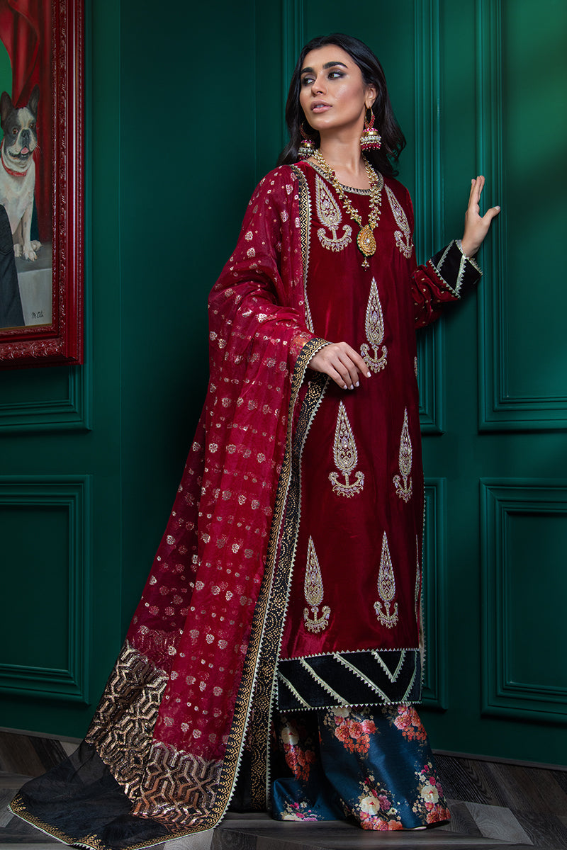 Wardha Saleem | Velvets Winter Fall 24 |  Lal Bagh 2 - House Of Anaya