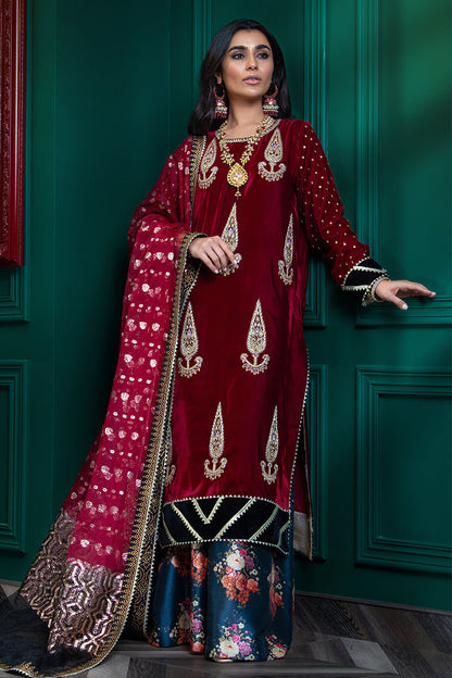 Wardha Saleem | Velvets Winter Fall 24 |  Lal Bagh 2 - House Of Anaya