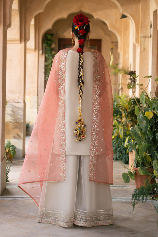 Naqshi | Tabeer Festive Dresses | Ablaaj