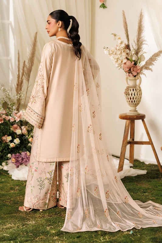 Naqshi | Festive Eid 26 | Rayla