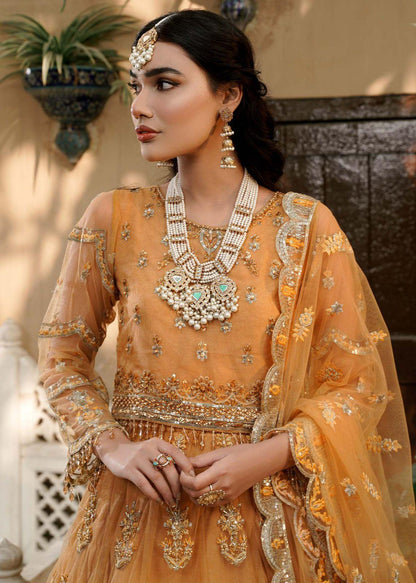 Dastoor Collection - Amber - House Of Anaya