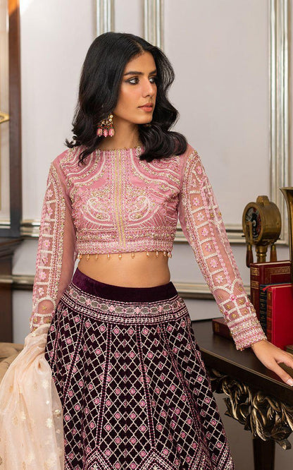 Thread & Motifs - Net Embroidered Blouse and Velvet Lehanga - House Of Anaya