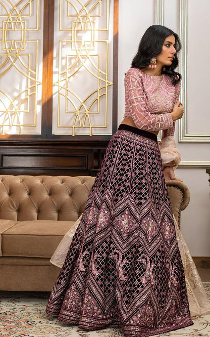 Thread & Motifs - Net Embroidered Blouse and Velvet Lehanga - House Of Anaya