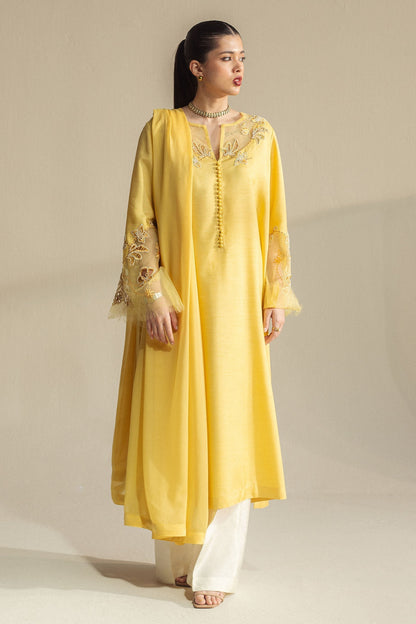 Zara Shahjahan | Fall Festive 24 | ZC-2073 - House Of Anaya