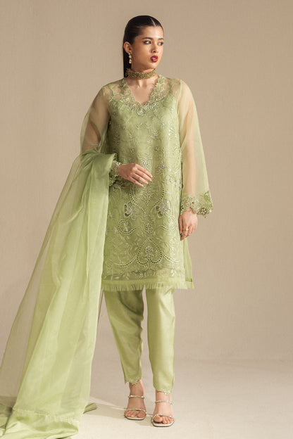 Zara Shahjahan | Fall Festive 24 | ZC-2074 - House Of Anaya
