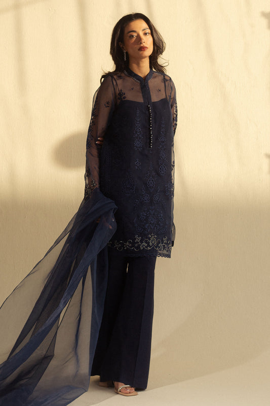 Zara Shahjahan | Fall Festive 24 | ZC-2079 - House Of Anaya