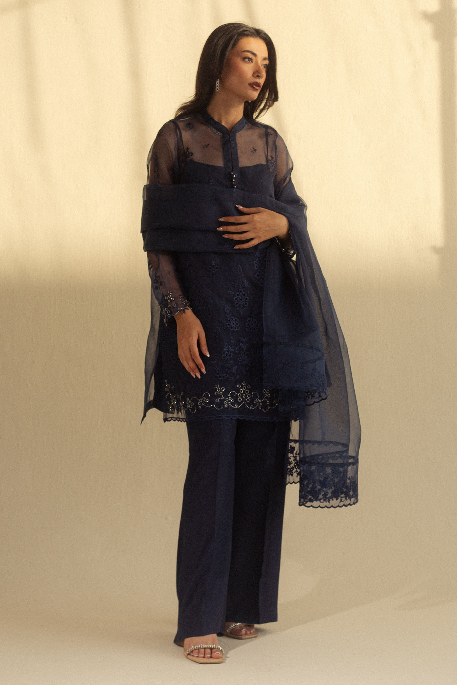 Zara Shahjahan | Fall Festive 24 | ZC-2079 - House Of Anaya