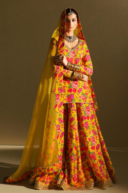 Zara Shahjahan | Chandni Raatain | BASANTI