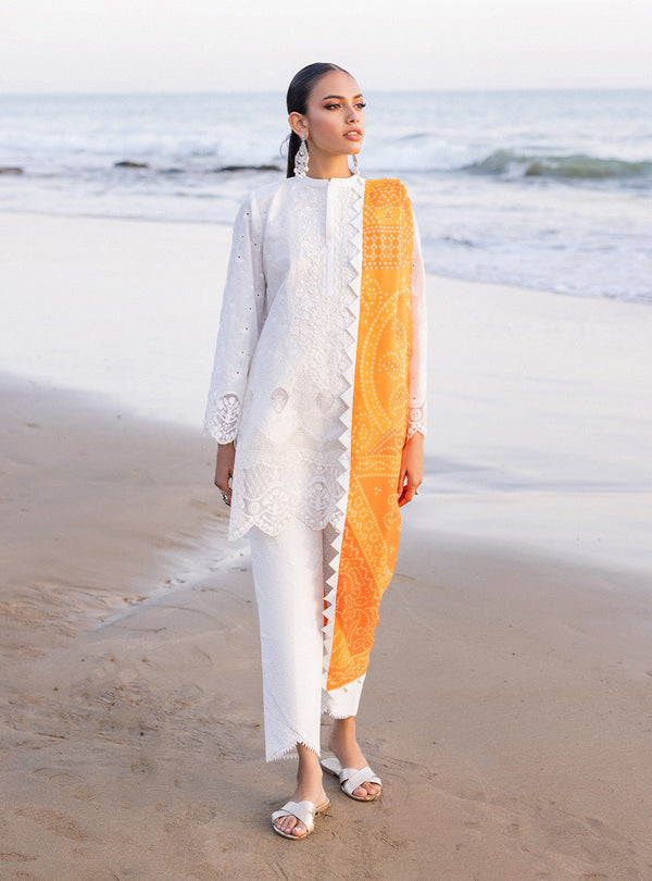 Zainab chottani | Luxury Chikankari 24 | CHUNARI - 3B - House Of Anaya