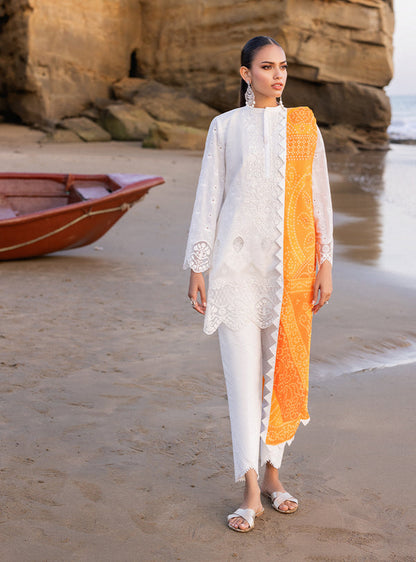 Zainab chottani | Luxury Chikankari 24 | CHUNARI - 3B - House Of Anaya