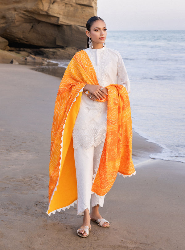 Zainab chottani | Luxury Chikankari 24 | CHUNARI - 3B - House Of Anaya