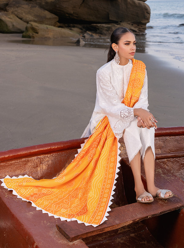 Zainab chottani | Luxury Chikankari 24 | CHUNARI - 3B - House Of Anaya