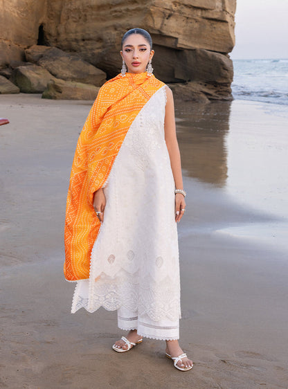 Zainab chottani | Luxury Chikankari 24 | CHUNARI - 3B - House Of Anaya
