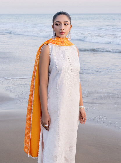 Zainab chottani | Luxury Chikankari 24 | CHUNARI - 3B - House Of Anaya