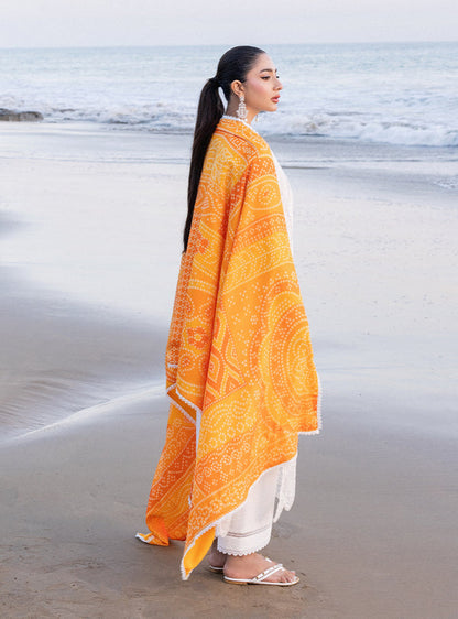 Zainab chottani | Luxury Chikankari 24 | CHUNARI - 3B - House Of Anaya