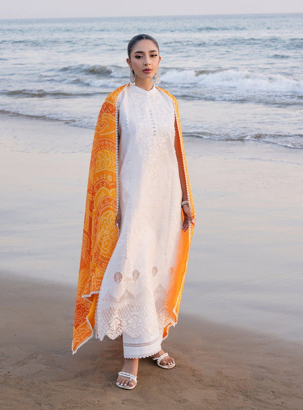 Zainab chottani | Luxury Chikankari 24 | CHUNARI - 3B - House Of Anaya